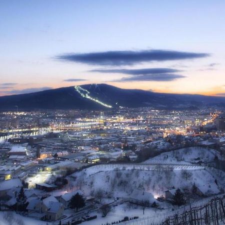 Apartma4Us Maribor Dış mekan fotoğraf